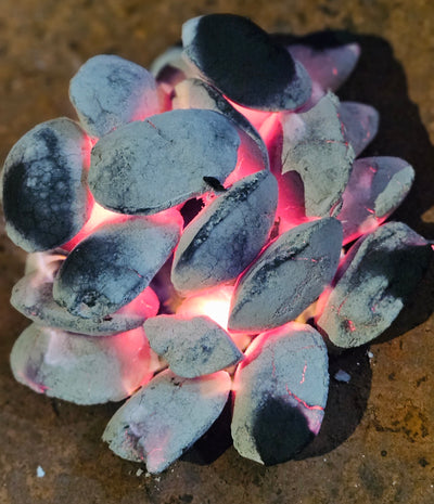 1 Saco Carbón Briquetas Quebracho Blanco  20 kilos + Despacho Gratis en Santiago* - Carbón Quebracho