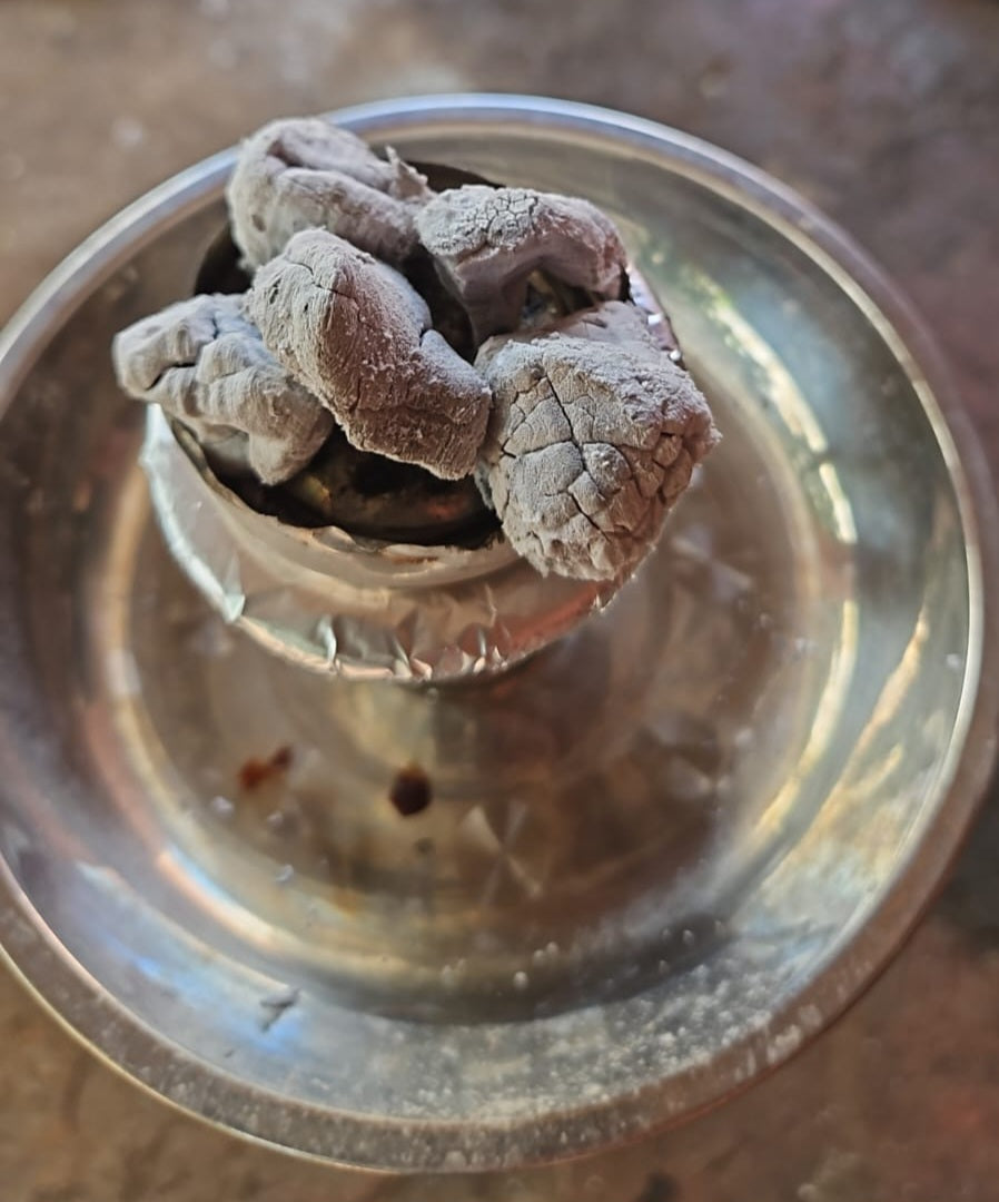 carbón narguille pipa de agua hookah shisha