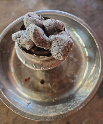 carbón narguille pipa de agua hookah shisha
